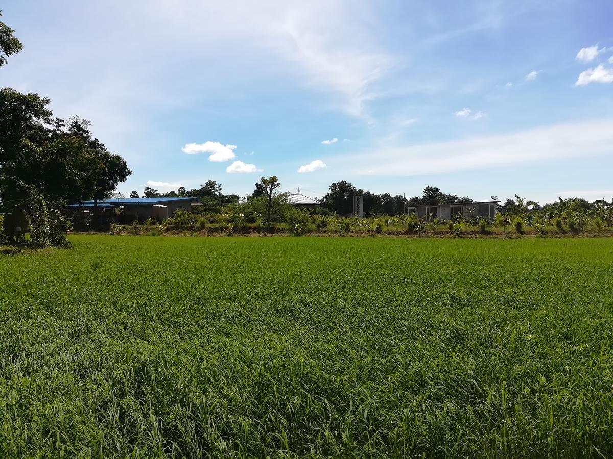 Bn Resort Ban Nong Chum Saeng Luaran gambar