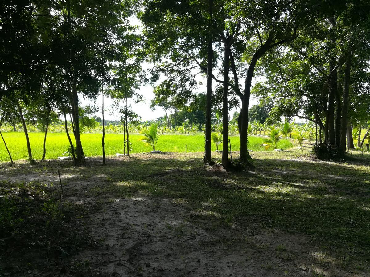 Bn Resort Ban Nong Chum Saeng Luaran gambar
