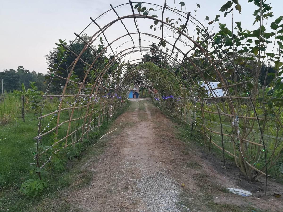 Bn Resort Ban Nong Chum Saeng Luaran gambar