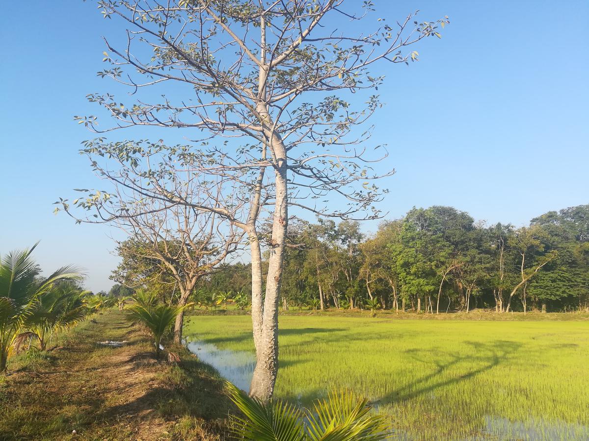 Bn Resort Ban Nong Chum Saeng Luaran gambar
