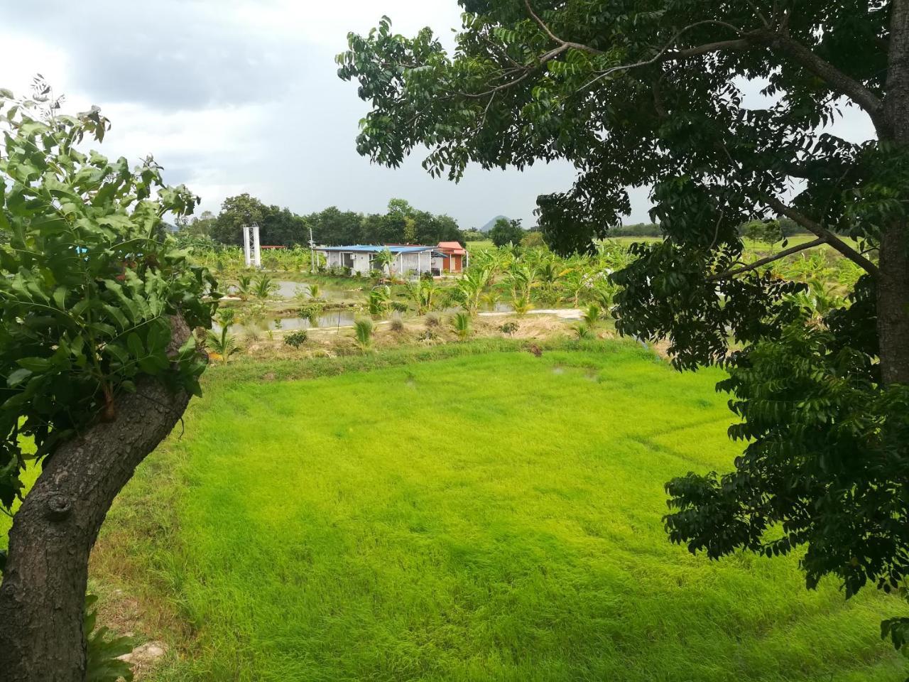 Bn Resort Ban Nong Chum Saeng Luaran gambar